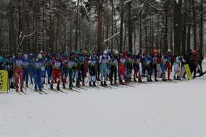 2021.12.31 - Новогодняя гонка (95шт.)